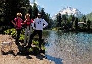 Valle e ghiacciaio del Forno dal Passo del Maloja (Svizzera) il 23 giugno 2016 - FOTOGALLERY